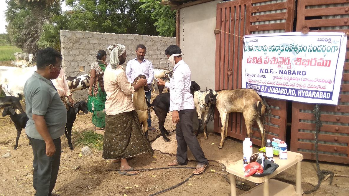 https://1ngo.sgp1.digitaloceanspaces.com/media/ards/Free animal health camps on NABARD foundation day 1.jpg